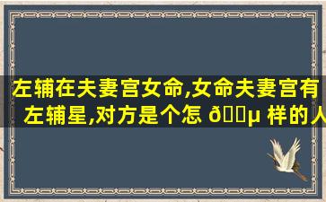 左辅在夫妻宫女命,女命夫妻宫有左辅星,对方是个怎 🌵 样的人